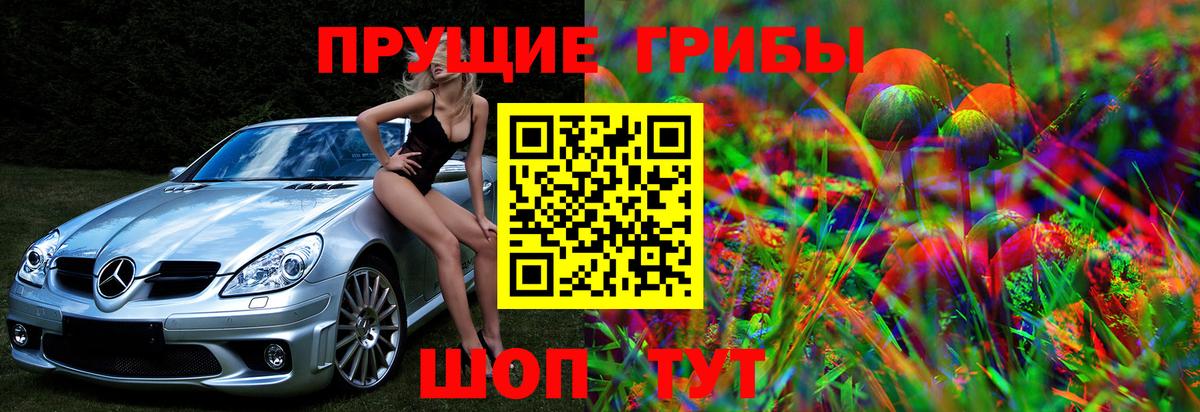 Псилоцибиновые грибы Psilocybine cubensis  Вход с VPN  Псилоцибиновые грибы прущие грибы  дарнет шоп  Назарово 